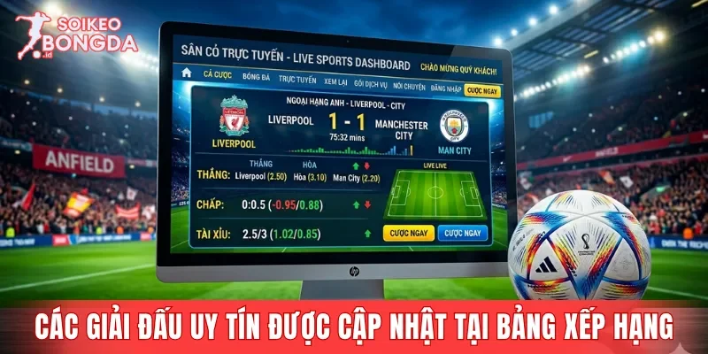 Các giải đấu uy tín được cập nhật tại bảng xếp hạng