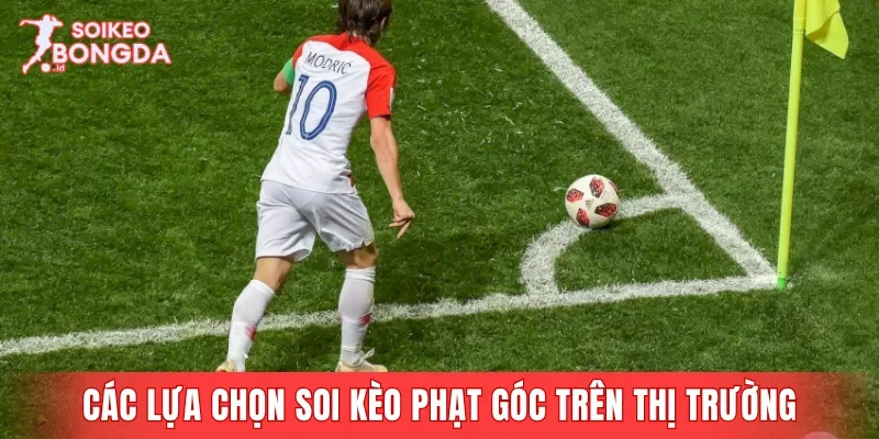 Các lựa chọn soi kèo phạt góc thường gặp trên thị trường