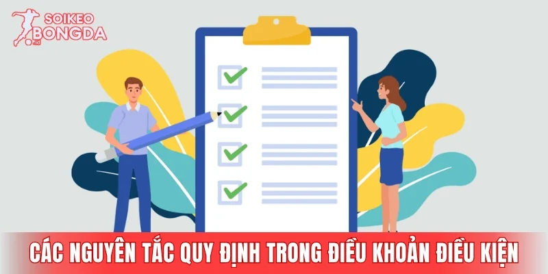 Các nguyên tắc được quy định trong điều khoản điều kiện