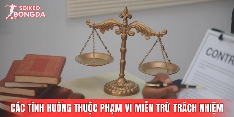 Các tình huống thuộc phạm vi miễn trừ trách nhiệm