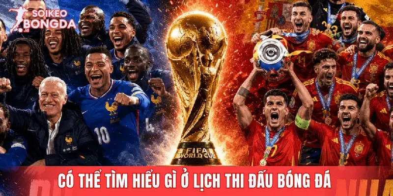Có thể tìm hiểu gì ở lịch thi đấu bóng đá
