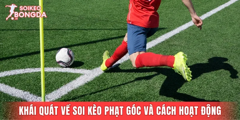 Khái quát về soi kèo phạt góc và cách hoạt động