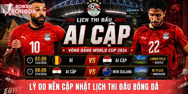 Lý do người hâm mộ nên cập nhật lịch thi đấu bóng đá