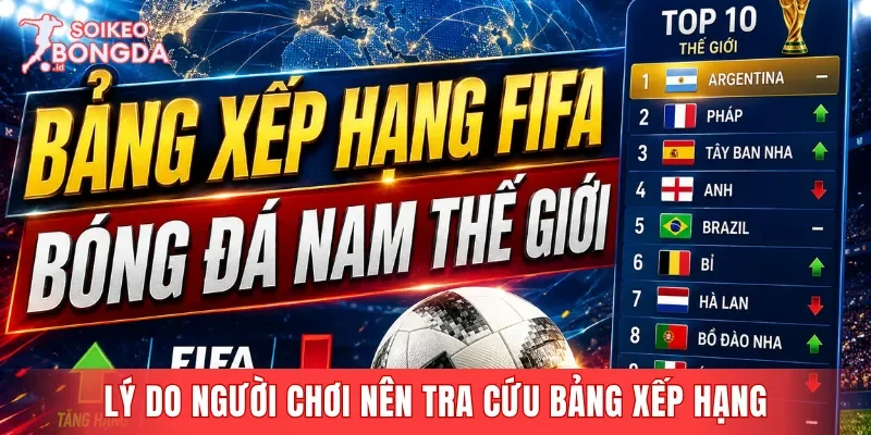 Lý do người chơi nên tiến hành tra cứu bảng xếp hạng hiện nay