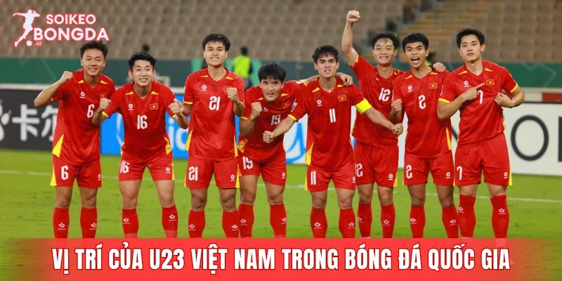 Vị trí của U23 Việt Nam trong quá trình phát triển bóng đá quốc gia